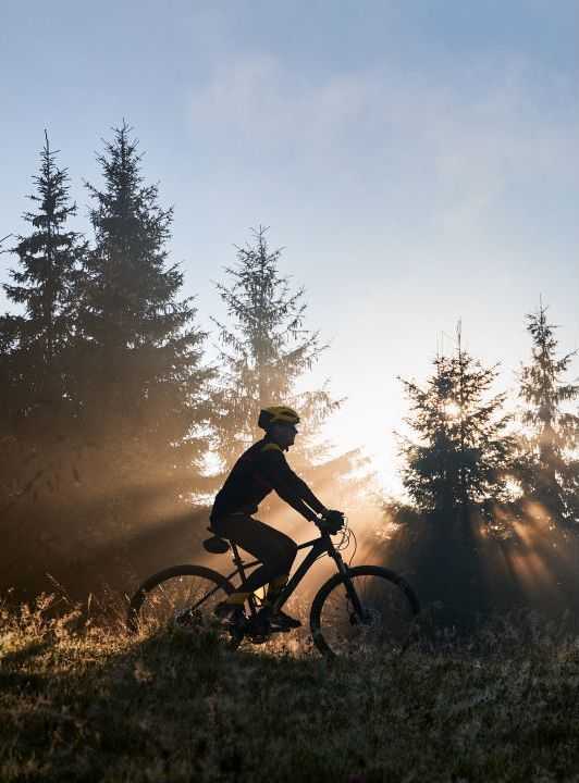 Mountain bike e trekking